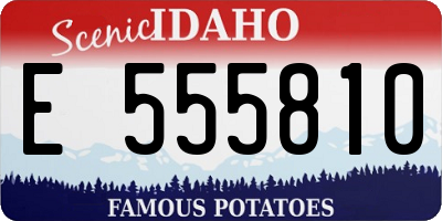 ID license plate E555810