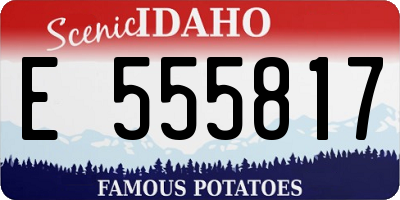 ID license plate E555817