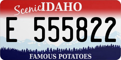ID license plate E555822