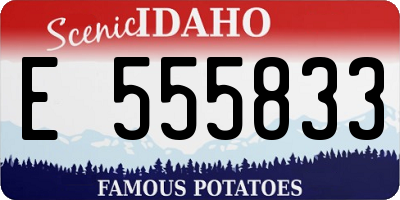 ID license plate E555833