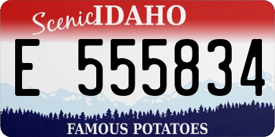 ID license plate E555834