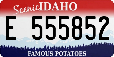 ID license plate E555852