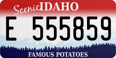 ID license plate E555859