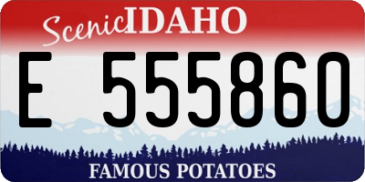 ID license plate E555860