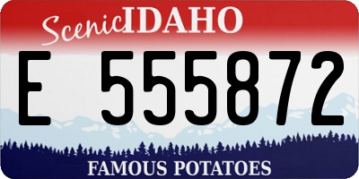 ID license plate E555872