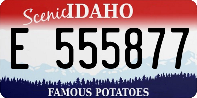 ID license plate E555877