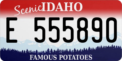 ID license plate E555890