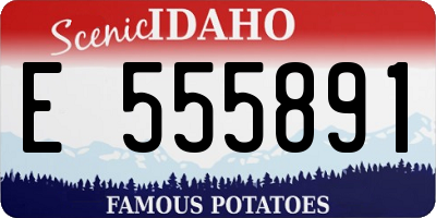 ID license plate E555891