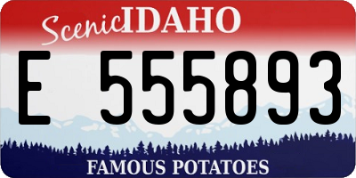 ID license plate E555893