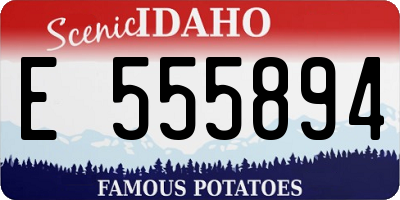 ID license plate E555894
