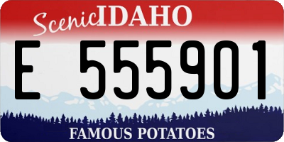ID license plate E555901