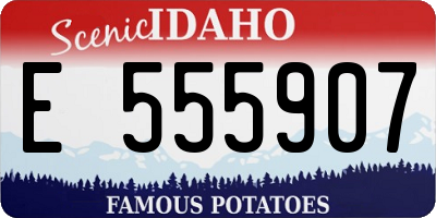 ID license plate E555907