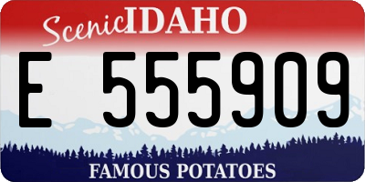 ID license plate E555909