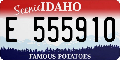 ID license plate E555910