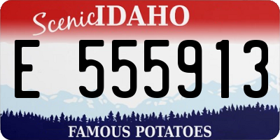 ID license plate E555913