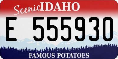 ID license plate E555930