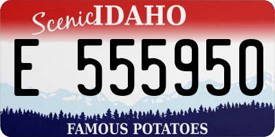 ID license plate E555950