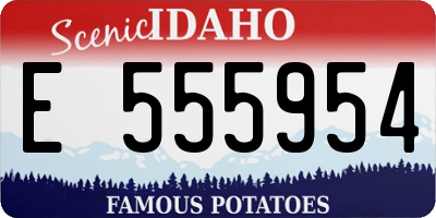 ID license plate E555954
