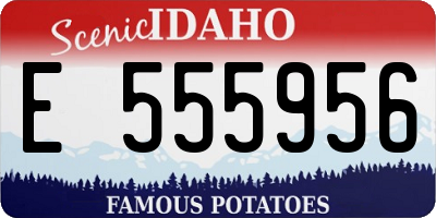 ID license plate E555956