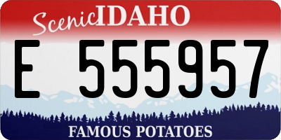 ID license plate E555957