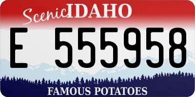 ID license plate E555958