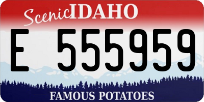 ID license plate E555959