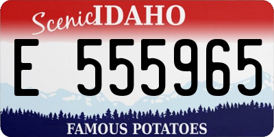 ID license plate E555965