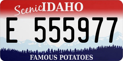 ID license plate E555977