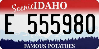 ID license plate E555980
