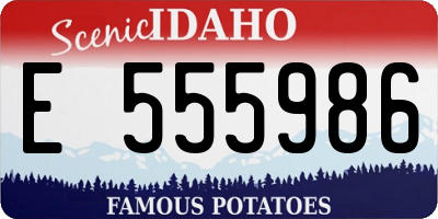 ID license plate E555986