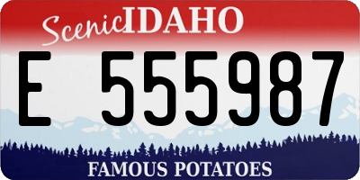 ID license plate E555987