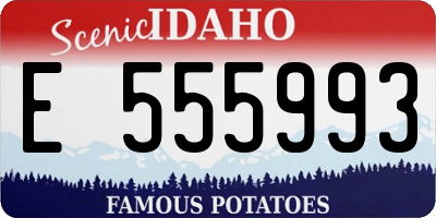 ID license plate E555993