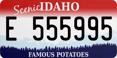 ID license plate E555995