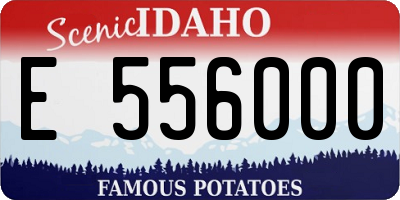 ID license plate E556000