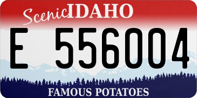 ID license plate E556004