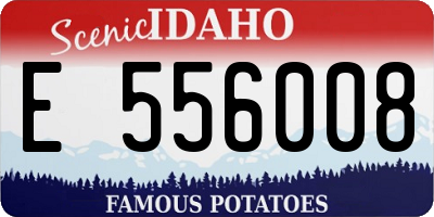 ID license plate E556008