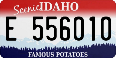 ID license plate E556010