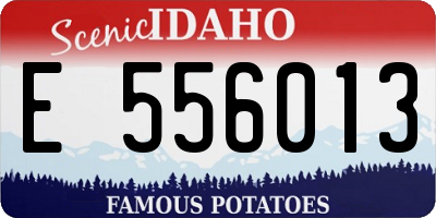 ID license plate E556013