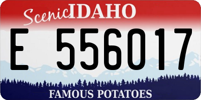 ID license plate E556017