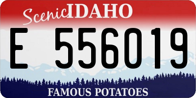ID license plate E556019
