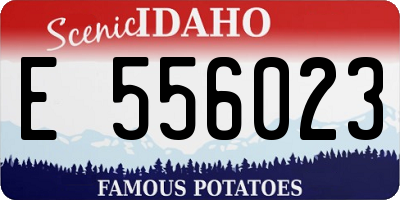 ID license plate E556023