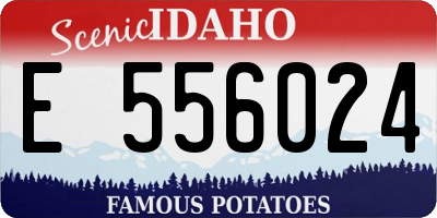 ID license plate E556024