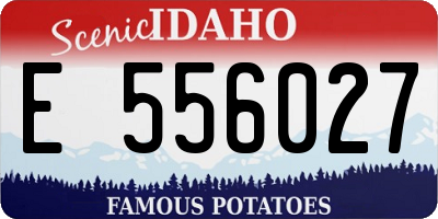ID license plate E556027