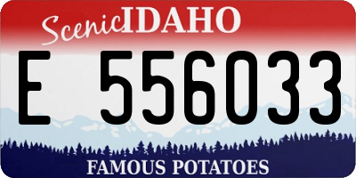 ID license plate E556033