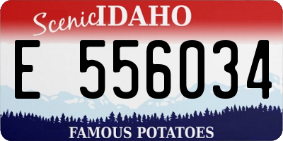 ID license plate E556034