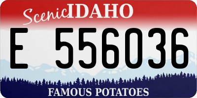 ID license plate E556036