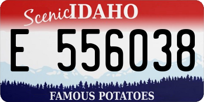 ID license plate E556038