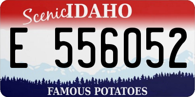 ID license plate E556052