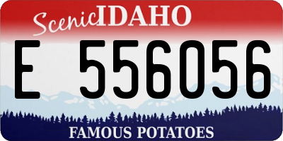 ID license plate E556056
