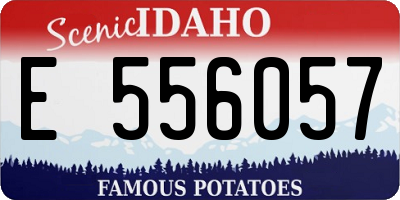 ID license plate E556057